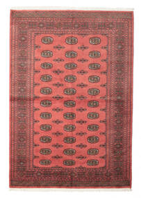 絨毯 パキスタン ブハラ 2Ply 167X243 (ウール, パキスタン)