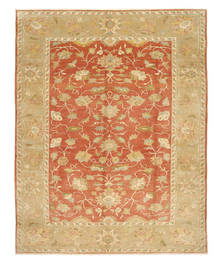  307X371 Large Egypt Rug Wool, Carpetvista