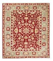 294X348 Egypt Teppich Orientalischer Großer (Wolle, Ägypten) Carpetvista