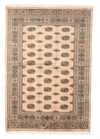 絨毯 オリエンタル パキスタン ブハラ 2Ply 169X243 (ウール, パキスタン)