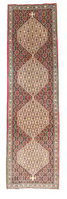 絨毯 センネ 74X271 廊下 カーペット (ウール, ペルシャ/イラン)