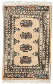  Pakistan Bokhara 2Ply Rug 64X98 Wool Small Carpetvista