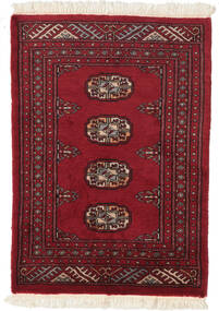 63X89 Pakistan Bokhara 2Ply Rug Oriental (Wool, Pakistan) Carpetvista