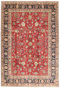 210X305 Tabriz Rug Oriental (Wool, Persia/Iran) Carpetvista