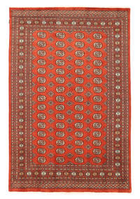 絨毯 パキスタン ブハラ 2Ply 200X300 (ウール, パキスタン)