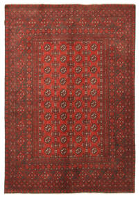 Orientalischer Afghan Fine Teppich 158X231 Wolle, Afghanistan Carpetvista