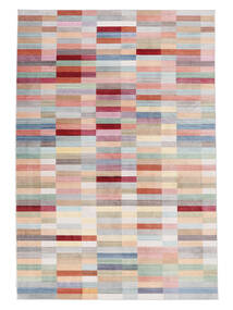 Vally 160X230 Multicolor Rug