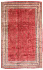 絨毯 サルーク 332X538 大きな (ウール, ペルシャ/イラン)
