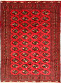  206X281 Turkaman Szőnyeg Piros/Barna Perzsia/Irán
 Carpetvista