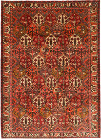 216X299 Bakhtiari Rug Oriental (Wool, Persia/Iran) Carpetvista
