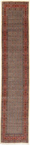絨毯 ペルシャ ムード 78X385 廊下 カーペット (ウール, ペルシャ/イラン)