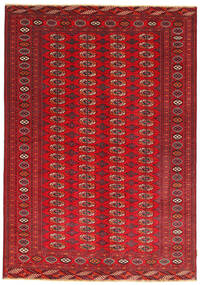 204X285 Bokhara/Yamut Rug Oriental (Wool, Turkmenistan/Russia) Carpetvista