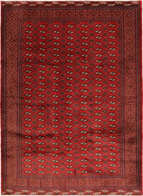  214X292 Turkaman Matta Persien/Iran Carpetvista