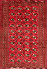 202X292 絨毯 オリエンタル トルクメン (ウール, ペルシャ/イラン) Carpetvista