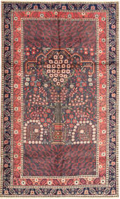  Afshar Rug 150X252 Persian Wool Small Carpetvista