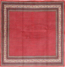 216X225 Sarouk Rug Oriental Square (Wool, Persia/Iran) Carpetvista
