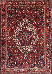 絨毯 ペルシャ バクティアリ 214X307 (ウール, ペルシャ/イラン)