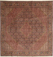 絨毯 ビジャー Takab/Bukan 247X252 正方形 (ウール, ペルシャ/イラン)