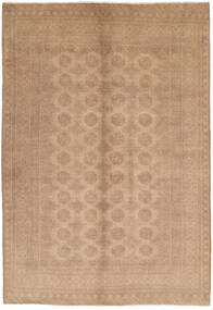  157X239 Medaillon Klein Afghan Fine Teppich Wolle