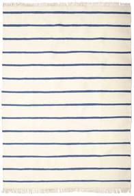 Dorri Stripe 160X230 Bílá/Modrá Pruhovaný Vlněný Koberec
