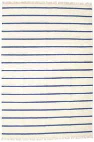  ウール 絨毯 220X320 Dorri Stripe ホワイト/ブルー
