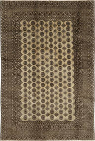  193X291 Afegão Natural Tapete Lã, Carpetvista