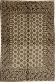 Tapis Afghan Natural 164X240 (Laine, Afghanistan)