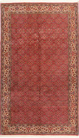 172X294 Bidjar Rug Oriental (Wool, Persia/Iran) Carpetvista