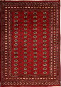 215X304 Pakistan Bokhara 2Ply Rug Oriental (Wool, Pakistan) Carpetvista