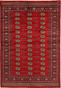 164X241 絨毯 パキスタン ブハラ 2Ply オリエンタル (ウール, パキスタン) Carpetvista