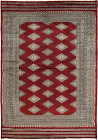 絨毯 オリエンタル パキスタン ブハラ 3Ply 168X247 (ウール, パキスタン)