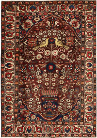208X295 絨毯 オリエンタル バクティアリ (ウール, ペルシャ/イラン) Carpetvista