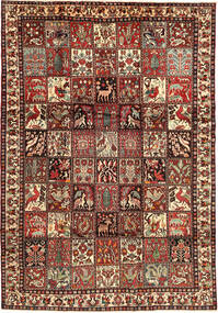  Orientalischer Bachtiar Teppich 210X303 Wolle, Persien/Iran Carpetvista