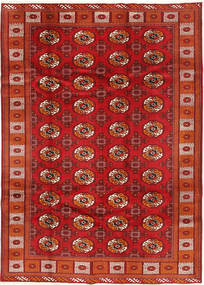  198X277 Turkaman Rug Red/Beige Persia/Iran Carpetvista