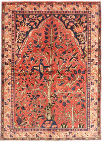  Bachtiar Teppich 160X225 Persischer Wollteppich Carpetvista