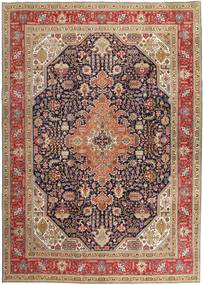 252X347 絨毯 オリエンタル タブリーズ パティナ 茶色/ベージュ 大きな (ウール, ペルシャ/イラン) Carpetvista