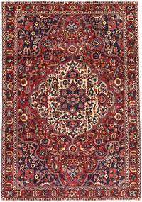 絨毯 バクティアリ パティナ 227X327 レッド/ダークレッド (ウール, ペルシャ/イラン)