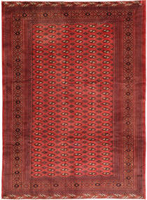252X340 Tapete Oriental Turcomano Grande (Lã, Pérsia/Irão)