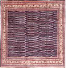 270X279 Alfombra Sarough Mir Oriental Grande (Lana, Persia/Irán) Carpetvista