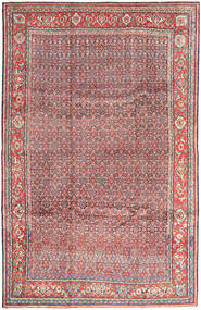 227X347 Arak Matta Orientalisk (Ull, Persien/Iran) Carpetvista