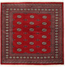 204X208 絨毯 オリエンタル パキスタン ブハラ 2Ply 正方形 (ウール, パキスタン) Carpetvista