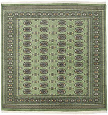 204X207 絨毯 パキスタン ブハラ 2Ply オリエンタル 正方形 (ウール, パキスタン) Carpetvista