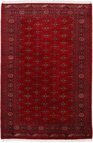 絨毯 パキスタン ブハラ 3Ply 169X254 (ウール, パキスタン)