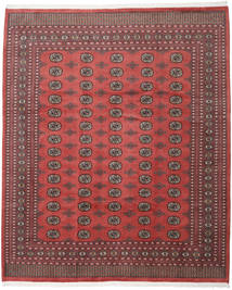 絨毯 パキスタン ブハラ 2Ply 250X300 大きな (ウール, パキスタン)