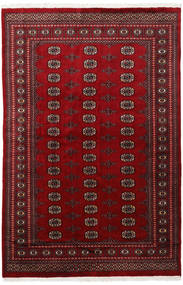 168X254 絨毯 オリエンタル パキスタン ブハラ 2Ply (ウール, パキスタン) Carpetvista