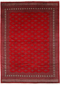  310X418 円形 大 パキスタン ブハラ 2Ply 絨毯 ウール, Carpetvista