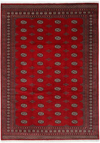絨毯 オリエンタル パキスタン ブハラ 2Ply 245X345 (ウール, パキスタン)