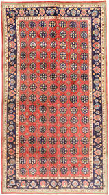  Rudbar Rug 140X253 Persian Wool Small Carpetvista