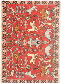  65X85 Hamadán Szőnyeg Perzsia/Irán
 Carpetvista
