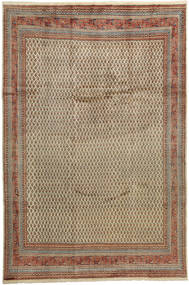  Sarouk Mir Rug 249X372 Persian Wool Large Carpetvista